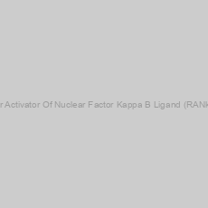 Image of Rat Receptor Activator Of Nuclear Factor Kappa B Ligand (RANkL) ELISA Kit